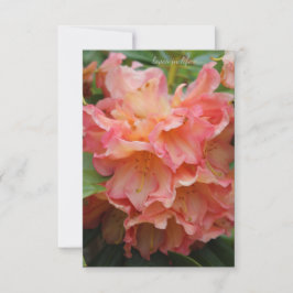 Peachy gekleurde rododendron notitiekaartje