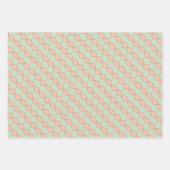Peachy Harmony Wrapping Paper Flat Sheet Set (Voorkant)