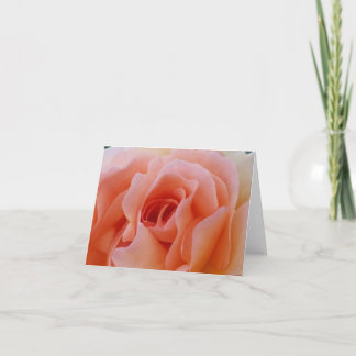 Peachy Love roos Open Petals Notecard Bedankkaart