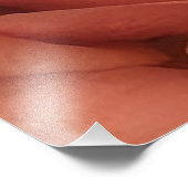 Peachy Mini Roos Foto Afdruk (Hoek)