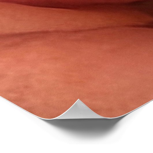 Peachy Mini Roos Poster (Hoek)