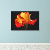 Peachy Oranje Roos Poster Canvas Afdruk (Insitu (Houten vloer))