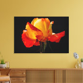 Peachy Oranje Roos Poster Canvas Afdruk (Insitu (Woonkamer))