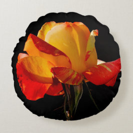 Peachy Oranje Roos Rond Kussen