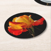 Peachy Oranje Roos Ronde Kartonnen Onderzetter (Gebogen)