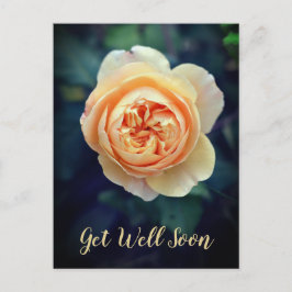 Peachy Oranje tuinkraan Roos Vloer snel goed Feestdagenkaart