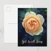 Peachy Oranje tuinkraan Roos Vloer snel goed Feestdagenkaart (Voorkant / Achterkant)