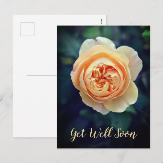 Peachy Oranje tuinkraan Roos Vloer snel goed Feestdagenkaart (Voorkant / Achterkant)