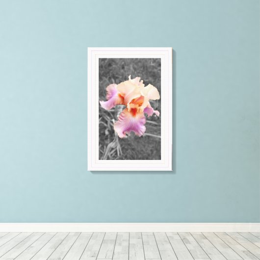 Peachy Paarse Canvas Afdruk (Insitu (Houten vloer))