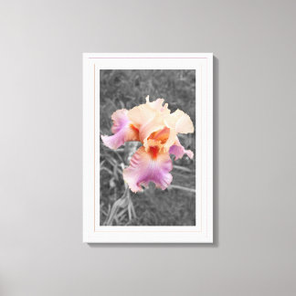 Peachy Paarse Canvas Afdruk