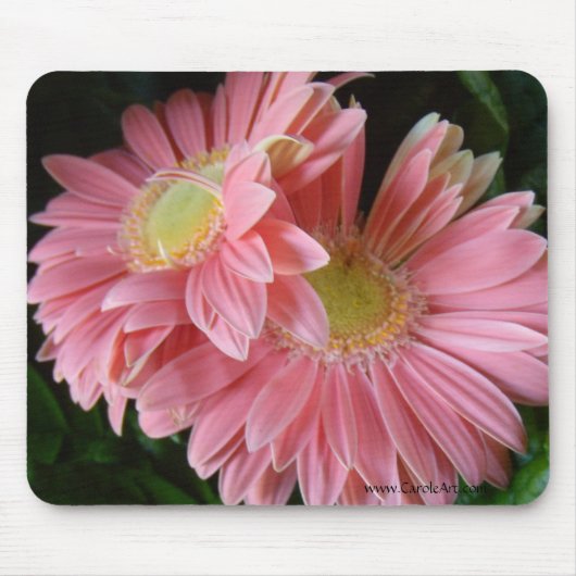 Peachy Pink Daisies Mousepad Muismat (Voorkant)