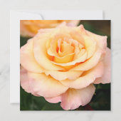 Peachy Pink Rose Flower 80th Birthday Party Kaart (Achterkant)