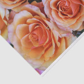 Peachy Pink Roses Closeup Foto ontkoppeling Tissuepapier (Detail)