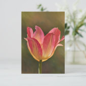 Peachy Pink Tulip Art Flat Note Kaart (Staand voorkant)