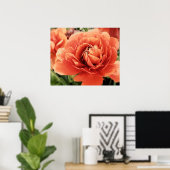 Peachy Ranunculus Flower Poster (Thuiskantoor)
