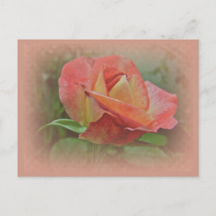 Peachy Roos Blossom Briefkaart