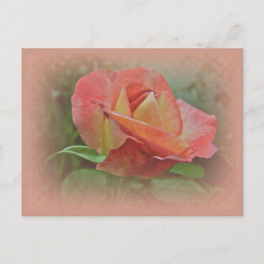Peachy Roos Blossom Briefkaart (Voorkant)