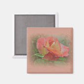 Peachy Roos Blossom Magneet (Voorkant / Achterkant)