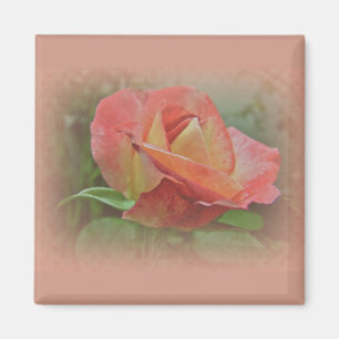 Peachy Roos Blossom Magneet