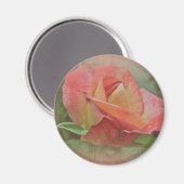 Peachy Roos Blossom Magneet (Voorkant / Achterkant)