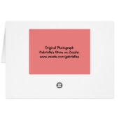 Peachy roze roze blanco Kaart (Achterkant Horizontaal)