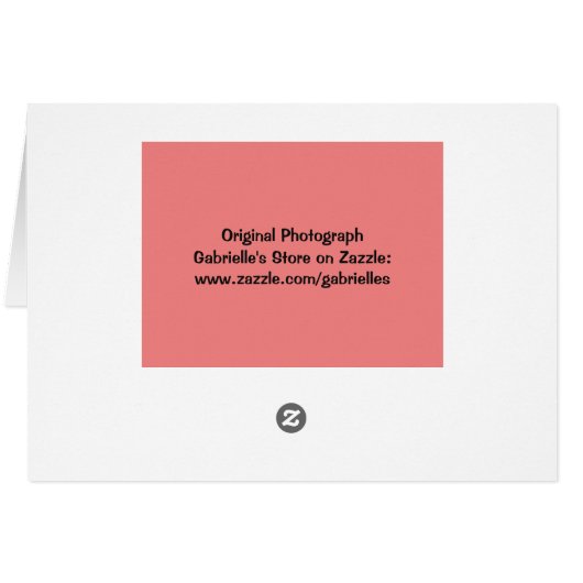 Peachy roze roze blanco Kaart (Achterkant Horizontaal)