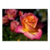 Peachy roze roze blanco Kaart (Voorkant Horizontaal)