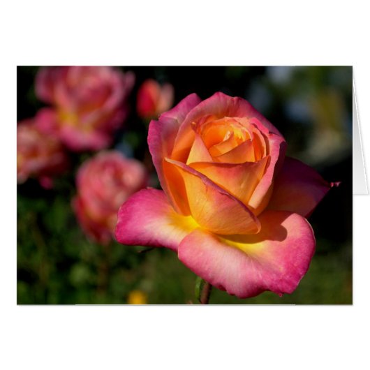 Peachy roze roze blanco Kaart (Voorkant Horizontaal)