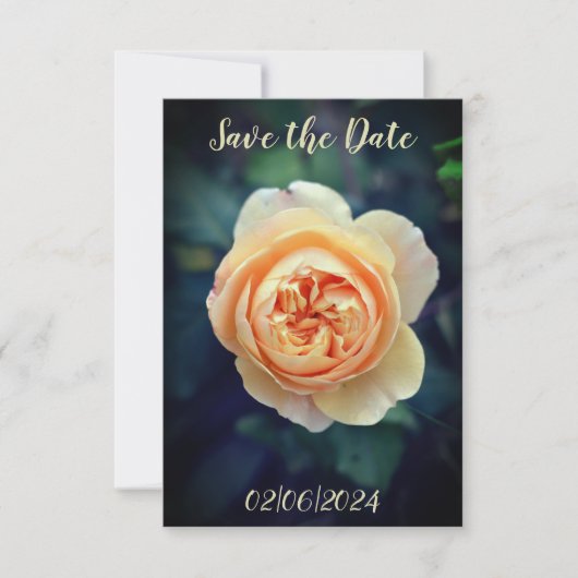 Peachy Sinaasappel Tuin Roos Flower Save the Date (Voorkant)