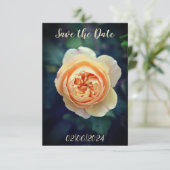 Peachy Sinaasappel Tuin Roos Flower Save the Date (Staand voorkant)