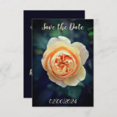 Peachy Sinaasappel Tuin Roos Flower Save the Date (Voorkant / Achterkant)