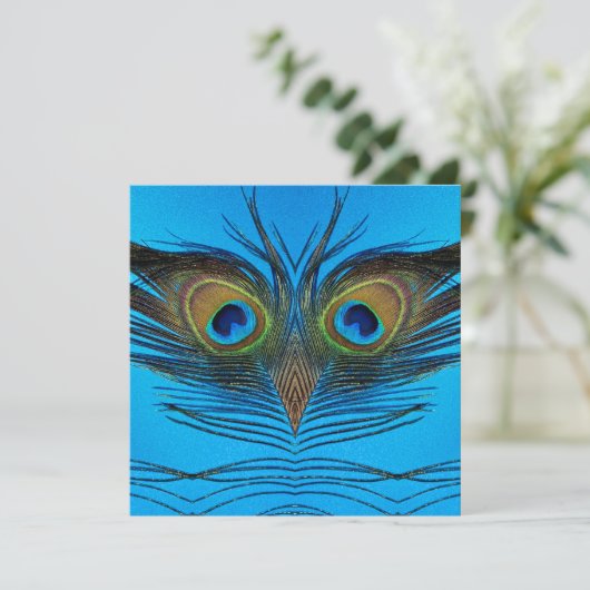 Peacock (Staand voorkant)
