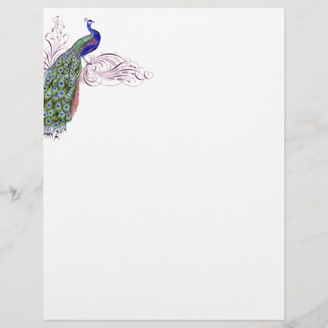  Peacock (Voorkant)