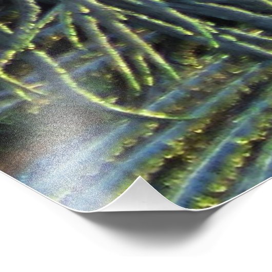 Peacock20160301 Foto Afdruk (Hoek)