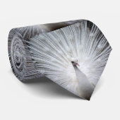 Peacock20160401 Stropdas (Opgerold)