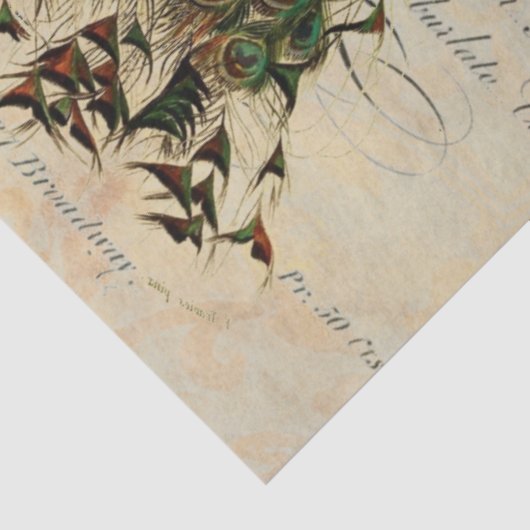 Peacock: 18 lb decoupage Sheet links Tissuepapier (Detail)