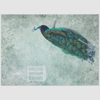  Peacock 18 lb-papier voor weefselrek Tissuepapier