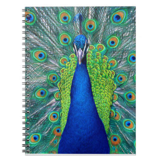 Peacock#1 Notitieboek