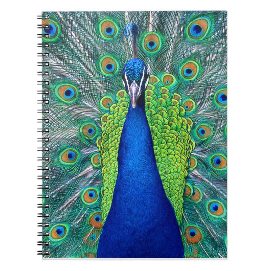 Peacock#1 Notitieboek (Voorkant)
