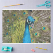 Peacock 1-wandpapier voor het loskoppelen van kuns tissuepapier (Craft)