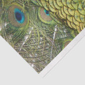 Peacock 1-wandpapier voor het loskoppelen van kuns tissuepapier (Detail)