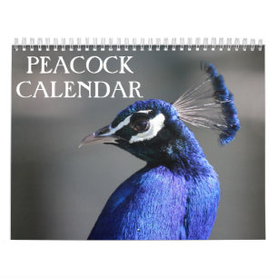 Peacock 2025 kalender
