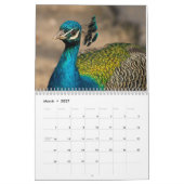 Peacock 2025 kalender (Mar 2027)