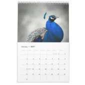 Peacock 2025 kalender (Jan 2027)
