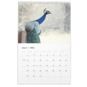 Peacock 2025 kalender (Mar 2026)