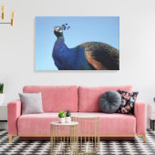 Peacock 2 canvas afdruk (Insitu (Woonkamer))