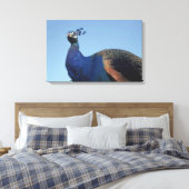 Peacock 2 canvas afdruk (Insitu (Slaapkamer))