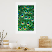 Peacock#2-Poster Poster (Keuken)