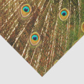 Peacock 2-wandpapier voor het loskoppelen van kuns tissuepapier (Detail)