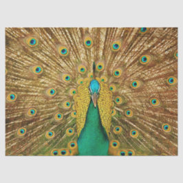 Peacock 2-wandpapier voor het loskoppelen van kuns tissuepapier